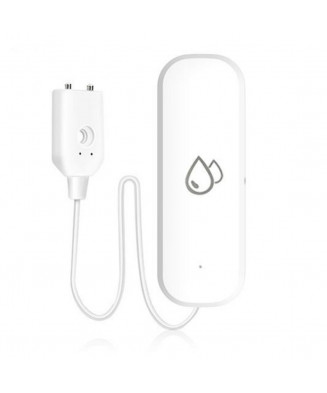 Smart flood detector