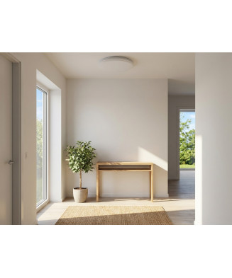Luminária de teto circular LED com 25 cm de diâmetro.