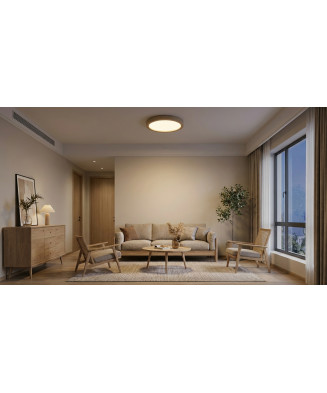 Extra-flat circular LED ceiling light with wood effect ring.